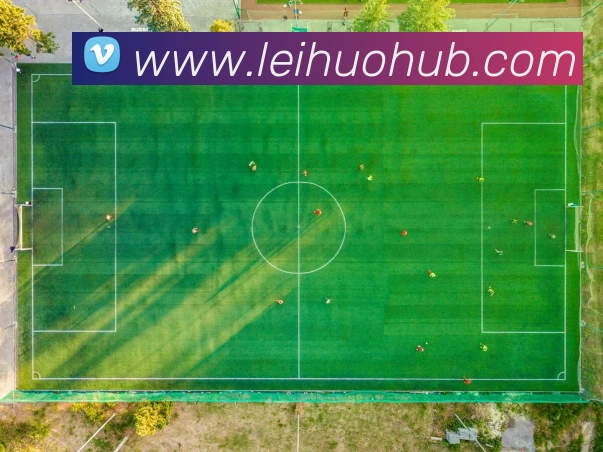 App Interface Preview