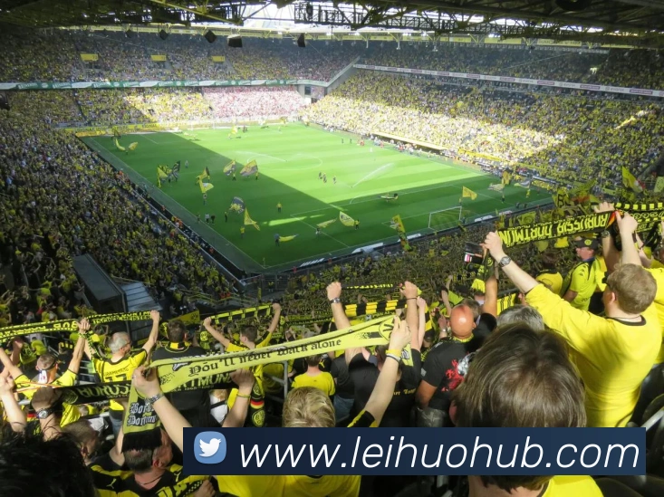 雷火电竞APP 封面图